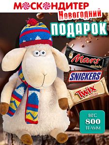 Новогодний подарок Барашкин