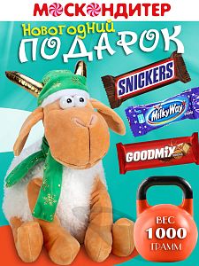 Новогодний подарок Козлик Федя